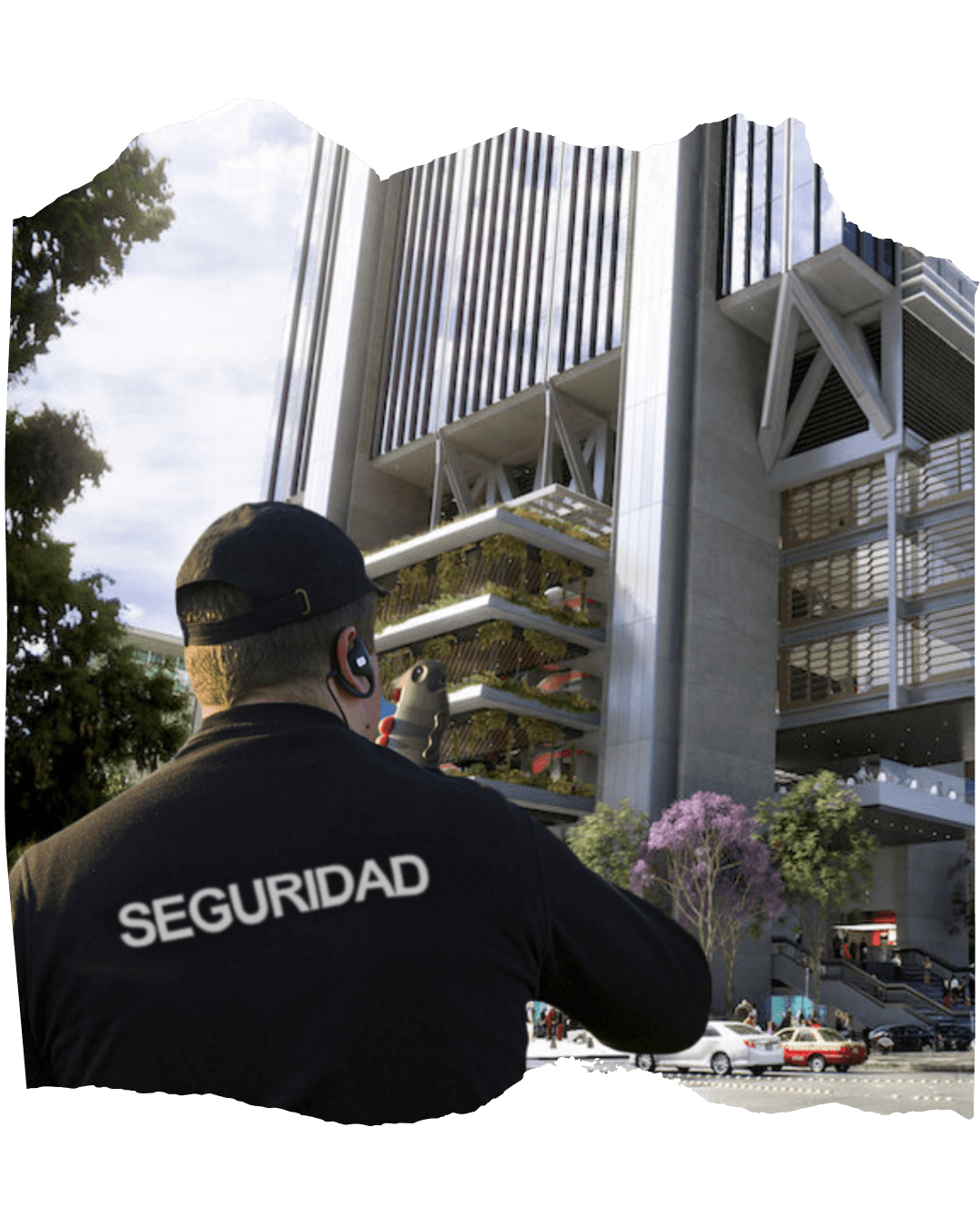 Seguridad Privada y Protección Física